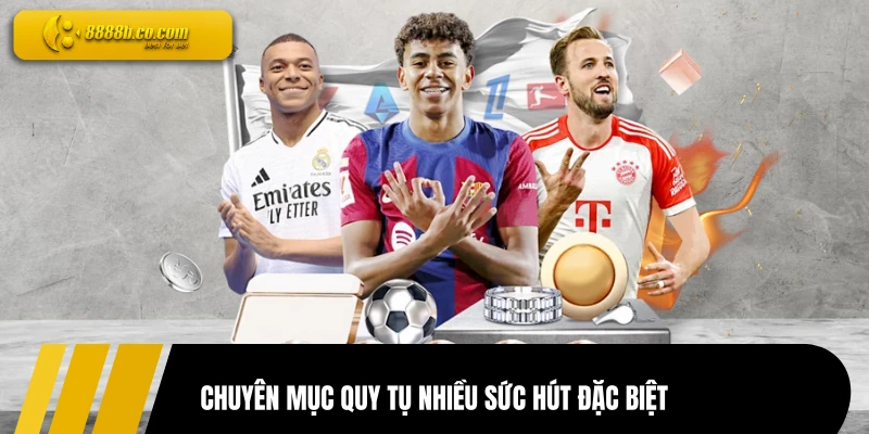 Chuyên mục quy tụ nhiều sức hút đặc biệt