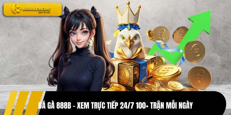 Đá Gà 888B - Xem Trực Tiếp 24/7 100+ Trận Mỗi Ngày