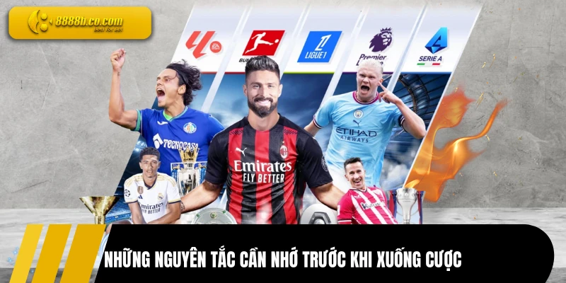 Những nguyên tắc cần nhớ trước khi xuống cược