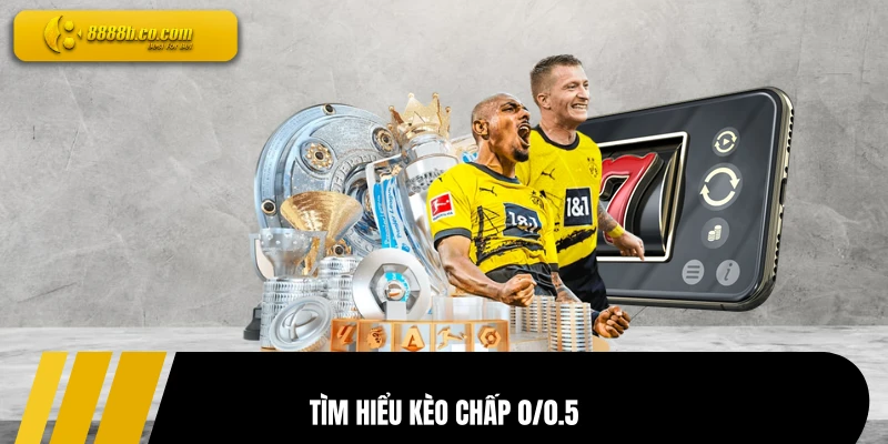 Tìm hiểu kèo chấp 0/0.5